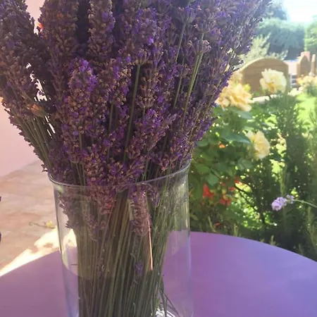 D'hotes Vaucluse Bed & Breakfast 2*