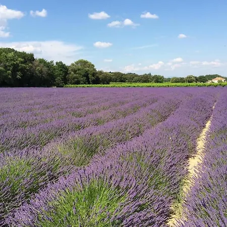 D'hotes Vaucluse 2* Bollène