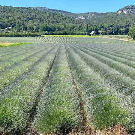 D'hotes Vaucluse Bed & Breakfast 2*