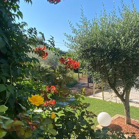Bed & Breakfast D'hotes Vaucluse Bollène